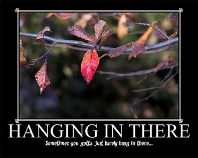 lexmom95-hanging-in-there-poster.jpg