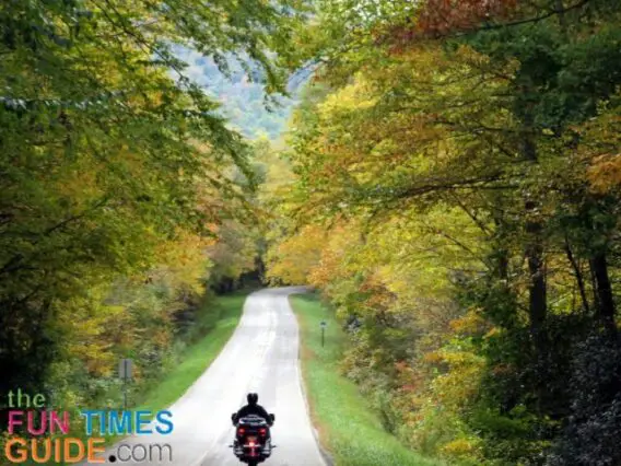 Photographing our colorful Fall motorcycle rides is a breeze with the Cannon Powershot Elph camera.